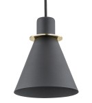Argon BEVERLY lampa wisząca 1 pł. 1x15W (max) czarny struktura elementy mosiądzowane 4687 Argon BEVERLY lampa wisząca 1 pł. 1x15W (max) czarny struktura elementy mosiądzowane 4687