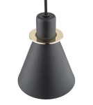 Argon BEVERLY lampa wisząca 1 pł. 1x15W (max) czarny struktura elementy mosiądzowane 4687 Argon BEVERLY lampa wisząca 1 pł. 1x15W (max) czarny struktura elementy mosiądzowane 4687