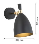 Argon CHARLOTTE kinkiet 1 pł. 1x15W (max) czarny struktura elementy mosiądzowane 4701 Argon CHARLOTTE kinkiet 1 pł. 1x15W (max) czarny struktura elementy mosiądzowane 4701