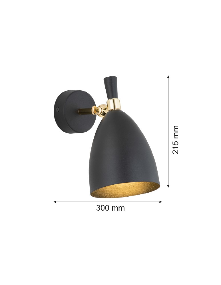 Argon CHARLOTTE kinkiet 1 pł. 1x15W (max) czarny struktura elementy mosiądzowane 4701 Argon CHARLOTTE kinkiet 1 pł. 1x15W (max) czarny struktura elementy mosiądzowane 4701