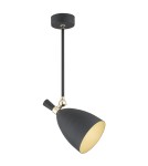 Argon CHARLOTTE lampa wisząca 1 pł. 1x15W (max) czarny struktura elementy mosiądzowane 4686 Argon CHARLOTTE lampa wisząca 1 pł. 1x15W (max) czarny struktura elementy mosiądzowane 4686