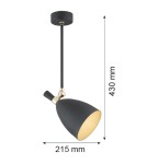 Argon CHARLOTTE lampa wisząca 1 pł. 1x15W (max) czarny struktura elementy mosiądzowane 4686 Argon CHARLOTTE lampa wisząca 1 pł. 1x15W (max) czarny struktura elementy mosiądzowane 4686