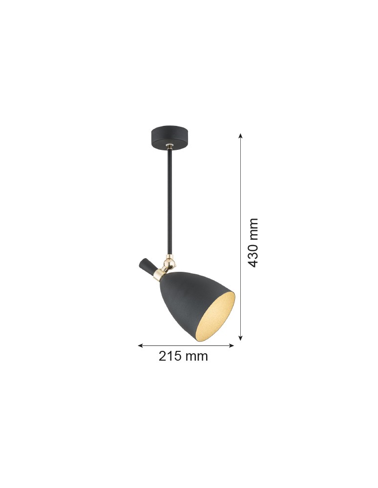 Argon CHARLOTTE lampa wisząca 1 pł. 1x15W (max) czarny struktura elementy mosiądzowane 4686 Argon CHARLOTTE lampa wisząca 1 pł. 1x15W (max) czarny struktura elementy mosiądzowane 4686