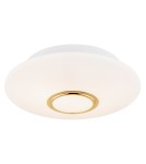 Argon CHICAGO plafon 2 pł. 2x15W (max) opal mat mosiądzowany 1030 Argon CHICAGO plafon 2 pł. 2x15W (max) opal mat mosiądzowany 1030