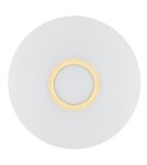 Argon CHICAGO plafon 2 pł. 2x15W (max) opal mat mosiądzowany 1030 Argon CHICAGO plafon 2 pł. 2x15W (max) opal mat mosiądzowany 1030