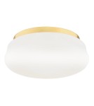 Argon OMBRA plafon 3 pł. 3x15W (max) opal mat elementy mosiądzowane 6142 Argon OMBRA plafon 3 pł. 3x15W (max) opal mat elementy mosiądzowane 6142