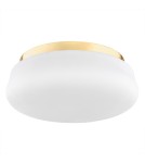 Argon OMBRA plafon 3 pł. 3x15W (max) opal mat elementy mosiądzowane 6142 Argon OMBRA plafon 3 pł. 3x15W (max) opal mat elementy mosiądzowane 6142