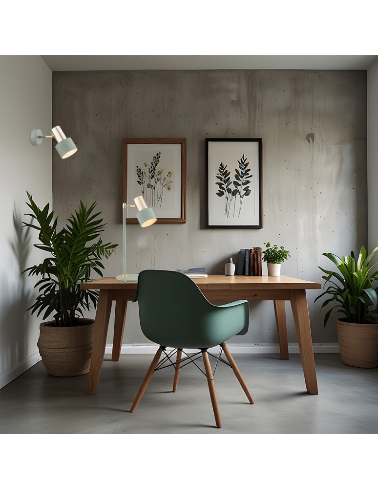 Argon DORIA lampa biurkowa 1 pł. 1x15W (max) szałwia struktura elementy mosiądzowane 4276 Argon DORIA lampa biurkowa 1 pł. 1x15W (max) szałwia struktura elementy mosiądzowane 4276