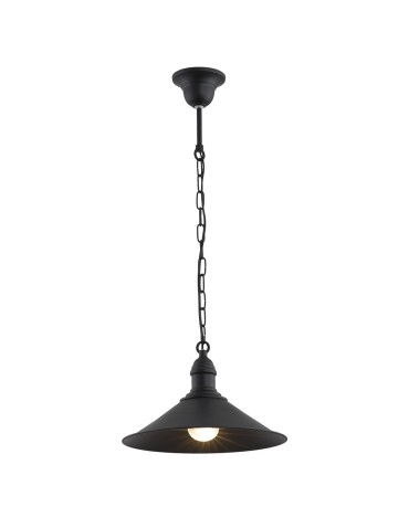 Argon ERBA lampa wisząca 1 pł. 1x15W (max) czarny mat 631