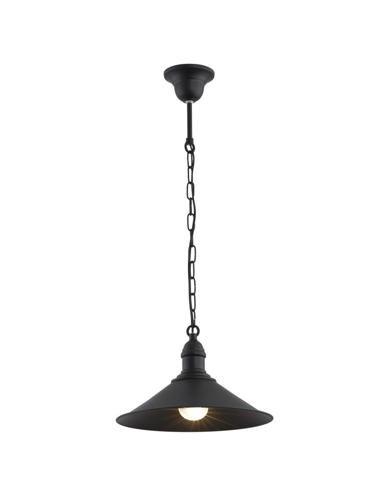 Argon ERBA lampa wisząca 1 pł. 1x15W (max) czarny mat 631