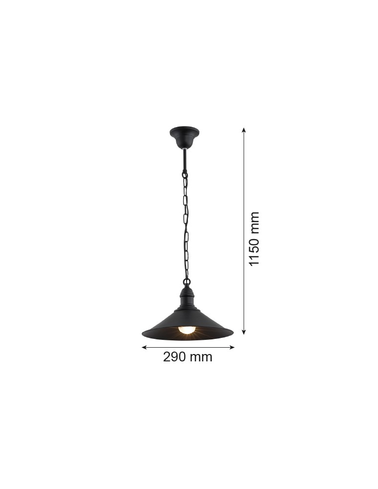 Argon ERBA lampa wisząca 1 pł. 1x15W (max) czarny mat 631