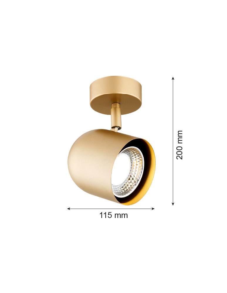 Argon ISOLA kinkiet / plafon 1 pł. 1x5W (max) złoty 8260 Argon ISOLA kinkiet / plafon 1 pł. 1x5W (max) złoty 8260