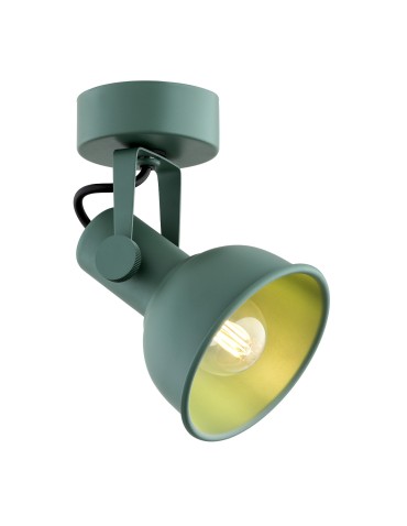 Argon LENORA kinkiet / plafon 1 pł. 1x7W (max) zielony 8299