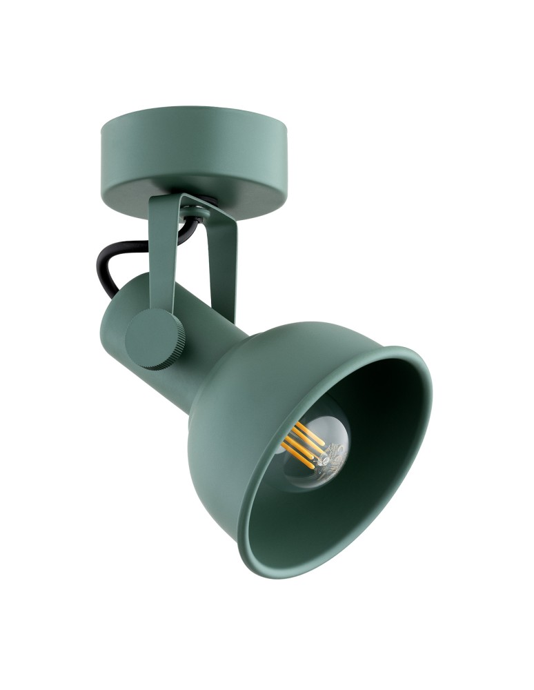 Argon LENORA kinkiet / plafon 1 pł. 1x7W (max) zielony 8299 Argon LENORA kinkiet / plafon 1 pł. 1x7W (max) zielony 8299