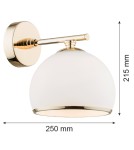 Argon MARBELLA kinkiet 1 pł. 1x15W (max) opal mat mosiądz 4255 Argon MARBELLA kinkiet 1 pł. 1x15W (max) opal mat mosiądz 4255