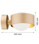 Argon MASSIMO PLUS 8567 szkło, stal lakierowana Argon MASSIMO PLUS 8567 szkło, stal lakierowana