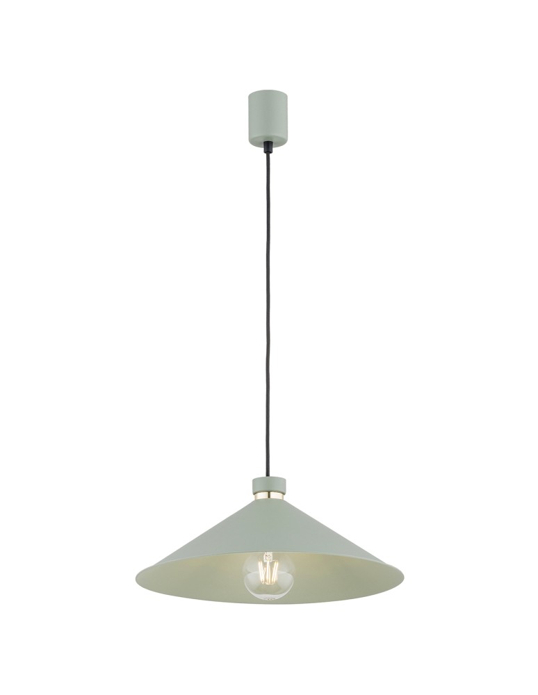 Argon NASHVILLE lampa wisząca 1 pł. 1x15W (max) szałwia struktura elementy mosiądzowane 4694 Argon NASHVILLE lampa wisząca 1 pł. 1x15W (max) szałwia struktura elementy mosiądzowane 4694