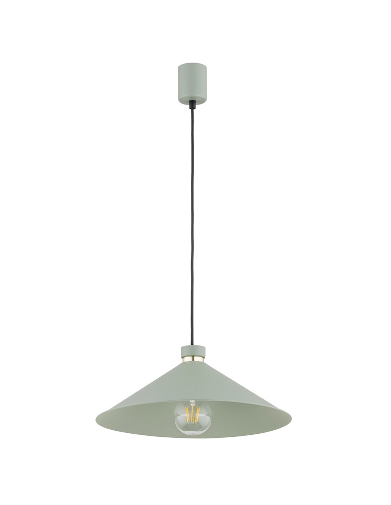 Argon NASHVILLE lampa wisząca 1 pł. 1x15W (max) szałwia struktura elementy mosiądzowane 4694 Argon NASHVILLE lampa wisząca 1 pł. 1x15W (max) szałwia struktura elementy mosiądzowane 4694