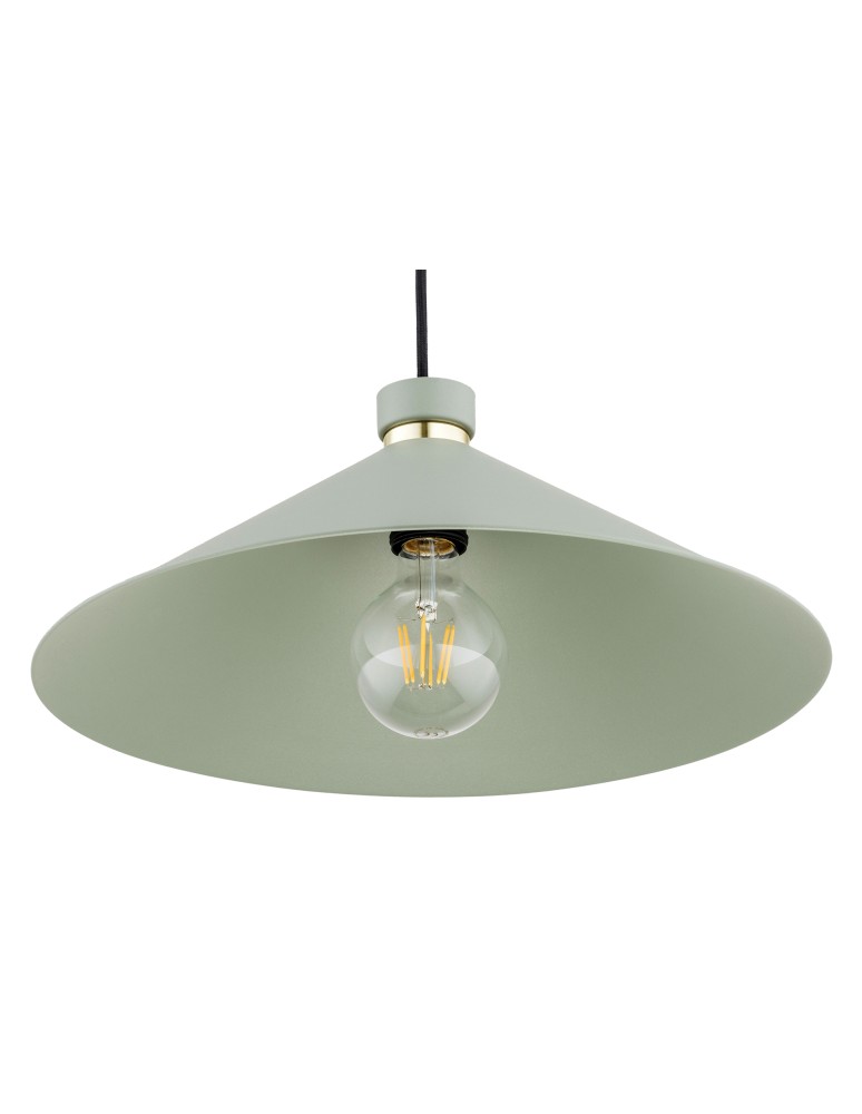 Argon NASHVILLE lampa wisząca 1 pł. 1x15W (max) szałwia struktura elementy mosiądzowane 4694 Argon NASHVILLE lampa wisząca 1 pł. 1x15W (max) szałwia struktura elementy mosiądzowane 4694