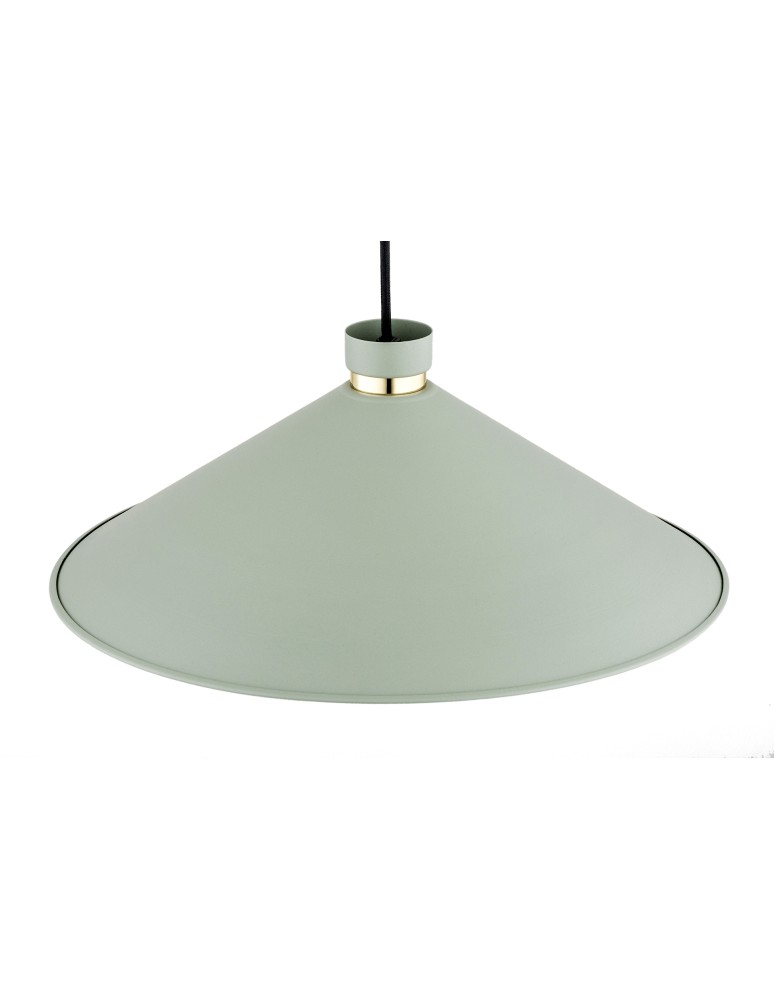 Argon NASHVILLE lampa wisząca 1 pł. 1x15W (max) szałwia struktura elementy mosiądzowane 4694 Argon NASHVILLE lampa wisząca 1 pł. 1x15W (max) szałwia struktura elementy mosiądzowane 4694