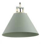 Lampy wiszące industrialne - Argon ORTE lampa wisząca 1 pł. 1x15W (max) szałwia struktura elementy mosiądzowane 4916 - product 4