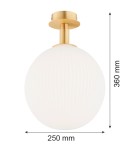 Lampy sufitowe kule - Argon PALOMA 8505        szkło, mosiądz - product 6