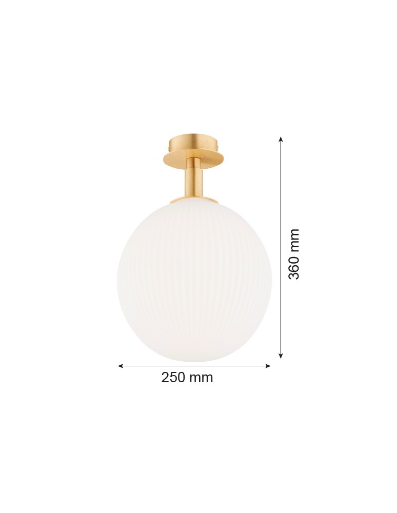 Argon PALOMA 8505        szkło, mosiądz