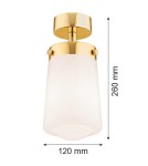 Argon PASADENA plafon 1 pł. 1x15W (max) biały połysk IP44 mosiądz 8005 Argon PASADENA plafon 1 pł. 1x15W (max) biały połysk IP44 mosiądz 8005