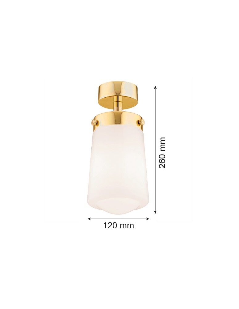 Argon PASADENA plafon 1 pł. 1x15W (max) biały połysk IP44 mosiądz 8005 Argon PASADENA plafon 1 pł. 1x15W (max) biały połysk IP44 mosiądz 8005