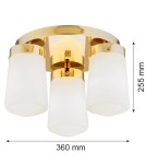 Argon PASADENA plafon 3 pł. 3x15W (max) biały połysk IP44 mosiądz 6165 Argon PASADENA plafon 3 pł. 3x15W (max) biały połysk IP44 mosiądz 6165