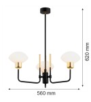 Żyrandole - Argon RAVELLO żyrandol 3 pł. 3x7W (max) opal mat czarny struktura 6166 - product 7