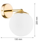 Kinkiety łazienkowe - Argon SATELITE PLUS kinkiet 1 pł. 1x15W (max) opal mat IP44 mosiądz 4744 - product 11