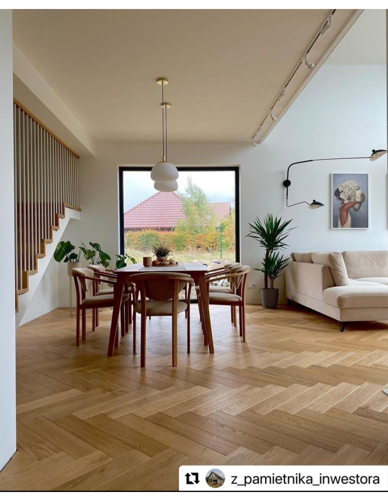 Argon TRINI lampa wisząca 1 pł. M 1x15W (max) opal mat elementy mosiądzowane 4316 Argon TRINI lampa wisząca 1 pł. M 1x15W (max) opal mat elementy mosiądzowane 4316