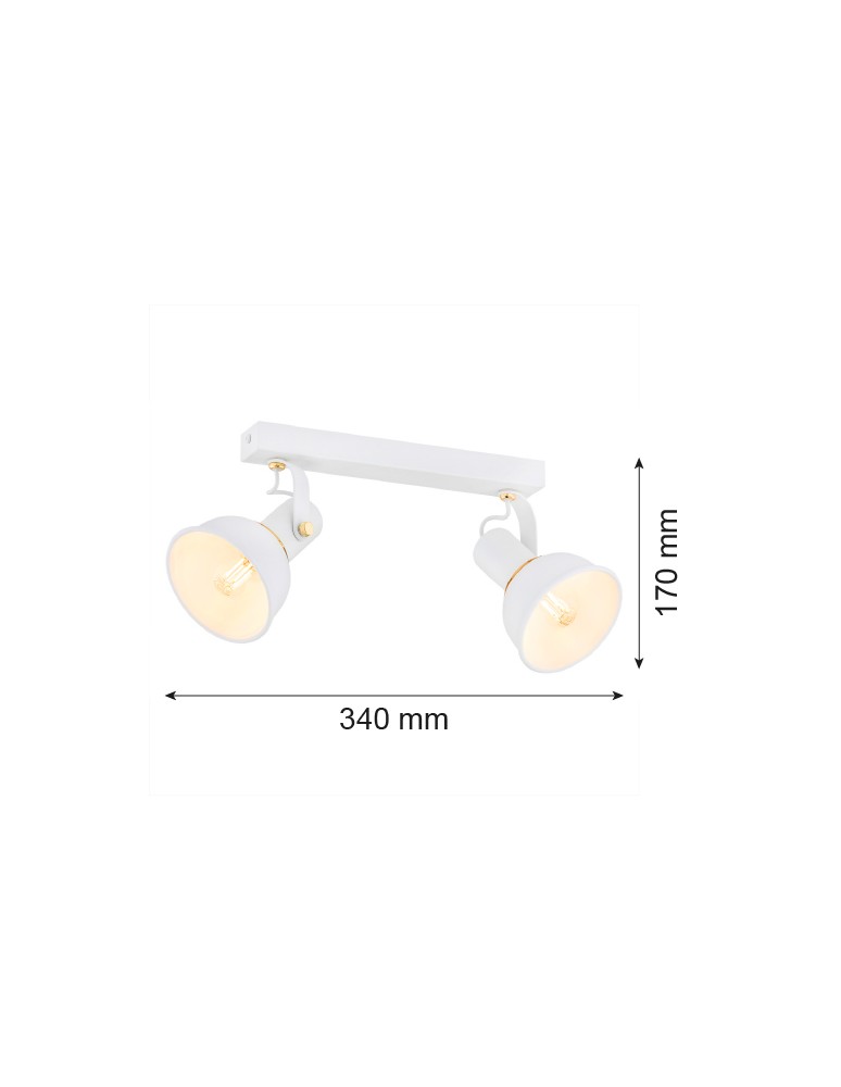 Argon TWIST plafon 2 pł. 2x7W (max) biały struktura elementy mosiądzowane 7036 Argon TWIST plafon 2 pł. 2x7W (max) biały struktura elementy mosiądzowane 7036