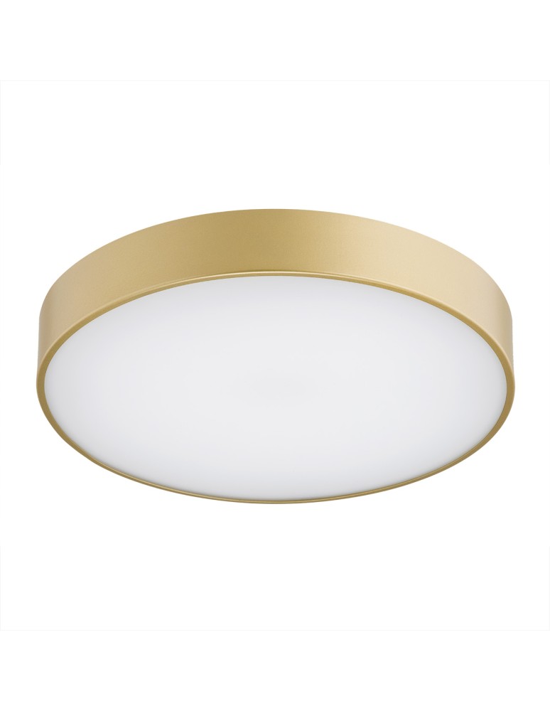 Argon TIAMO plafon LED 1x22W złoty lakierowany soft 8349 Argon TIAMO plafon LED 1x22W złoty lakierowany soft 8349