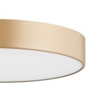 Argon TIAMO plafon LED 1x22W złoty lakierowany soft 8349 Argon TIAMO plafon LED 1x22W złoty lakierowany soft 8349