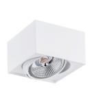 Lampy sufitowe punktowe - Argon RODOS PLUS plafon 1 pł. 1x12W (max) biały struktura 4753 BZ - product 2