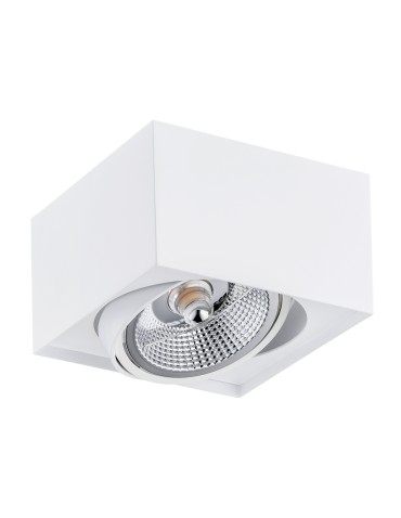 Argon RODOS PLUS plafon 1 pł. 1x12W (max) biały struktura 4753 BZ - produkt 2