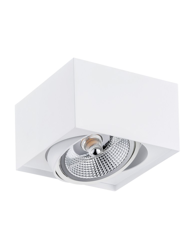 Lampy sufitowe punktowe - Argon RODOS PLUS plafon 1 pł. 1x12W (max) biały struktura 4753 BZ - product kolory-swiatla.pl 2