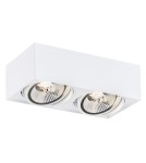Lampy sufitowe punktowe - Argon RODOS PLUS plafon 2 pł. 2x12W (max) biały struktura 1048 BZ - product 1