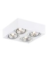 Argon RODOS PLUS plafon 4 pł. 4x12W (max) biały struktura 1744 BZ