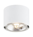 Oprawy sufitowe okrągłe - Argon CLEVLAND plafon 1 pł. 1x12W (max) biały struktura 4692 BZ - product 1