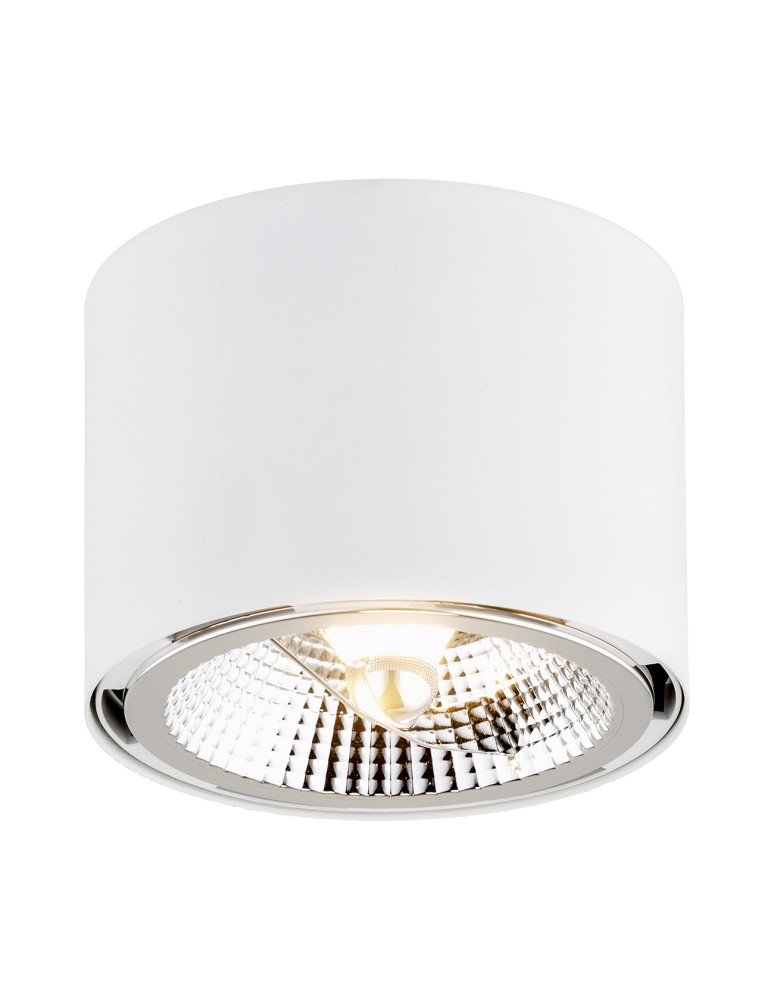 Argon CLEVLAND plafon 1 pł. 1x12W (max) biały struktura 4692 BZ