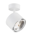 Argon CLEVLAND reflektor 1 pł. 1x12W (max) biały struktura 4702 BZ Argon CLEVLAND reflektor 1 pł. 1x12W (max) biały struktura 4702 BZ