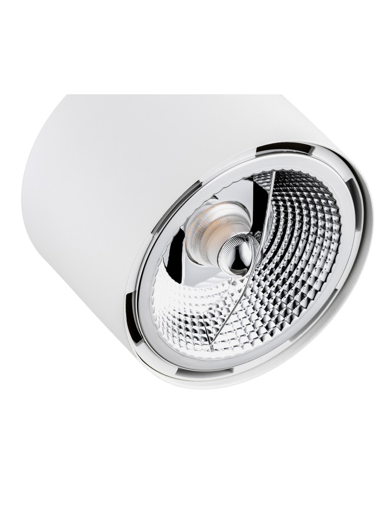 Argon CLEVLAND reflektor 1 pł. 1x12W (max) biały struktura 4702 BZ Argon CLEVLAND reflektor 1 pł. 1x12W (max) biały struktura 4702 BZ