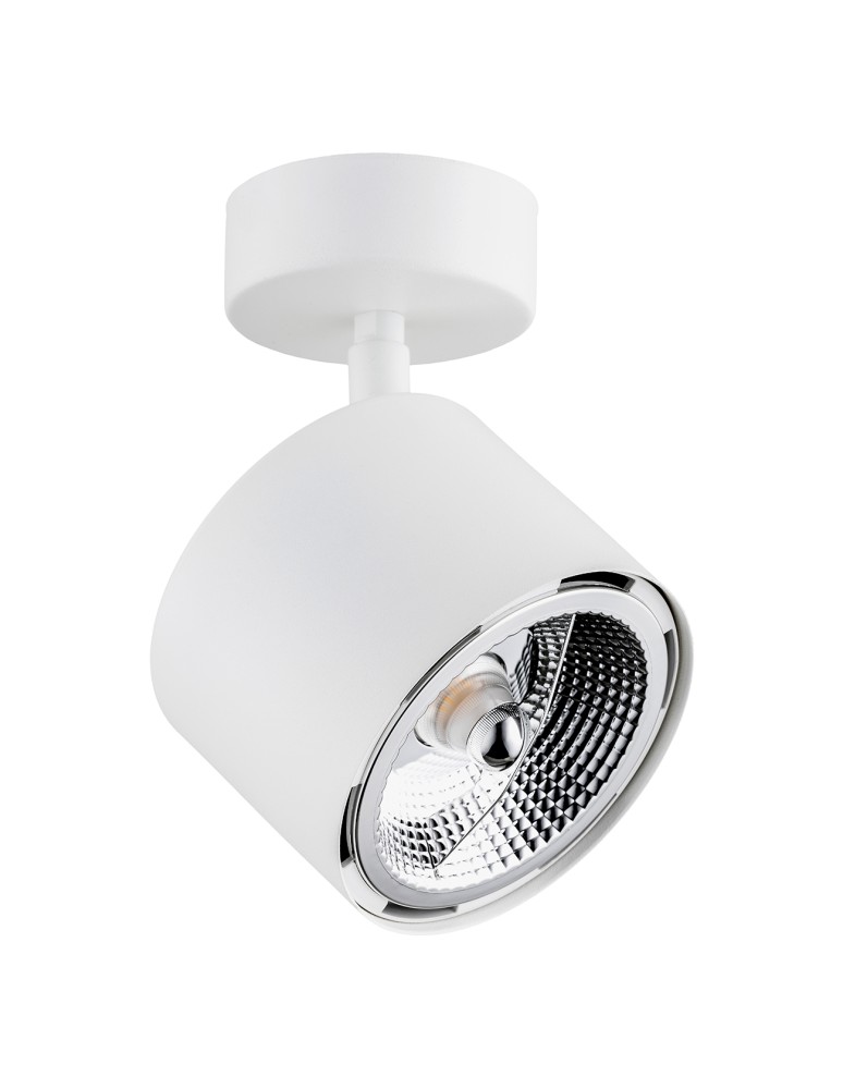 Argon CLEVLAND reflektor 1 pł. 1x12W (max) biały struktura 4702 BZ Argon CLEVLAND reflektor 1 pł. 1x12W (max) biały struktura 4702 BZ