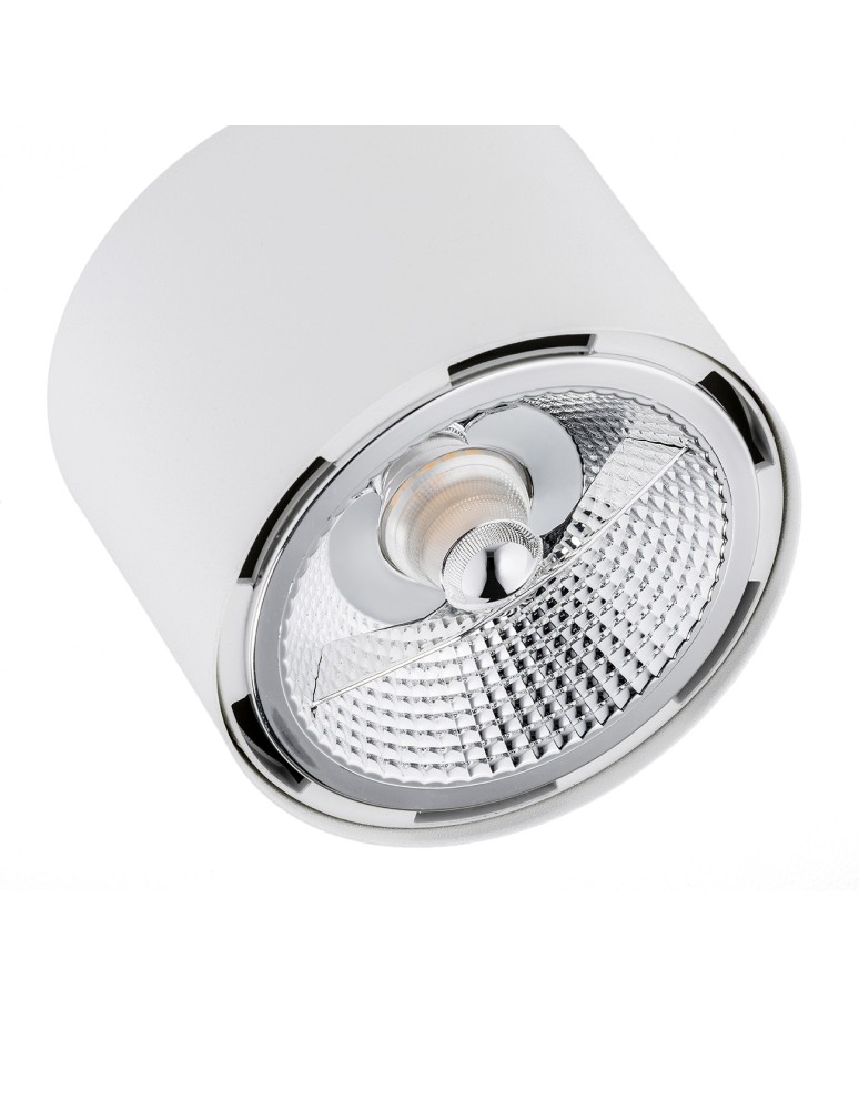 Argon CLEVLAND plafon 2 pł. 2x12W (max) biały struktura 1031 BZ Argon CLEVLAND plafon 2 pł. 2x12W (max) biały struktura 1031 BZ