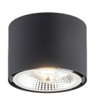 Oprawy sufitowe okrągłe - Argon CLEVLAND plafon 1 pł. 1x12W (max) czarny struktura 4691 BZ - product 1
