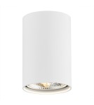 Oprawy sufitowe okrągłe - Argon TUBO plafon 1 pł. 1x12W (max) biały struktura 4910 BZ - product 1