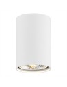 Argon TUBO plafon 1 pł. 1x12W (max) biały struktura 4910 BZ